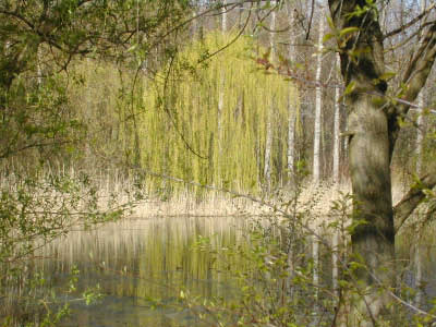 Erholungspark 8