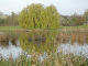 Erholungspark 3
