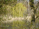 Erholungspark 8