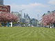Pauliner